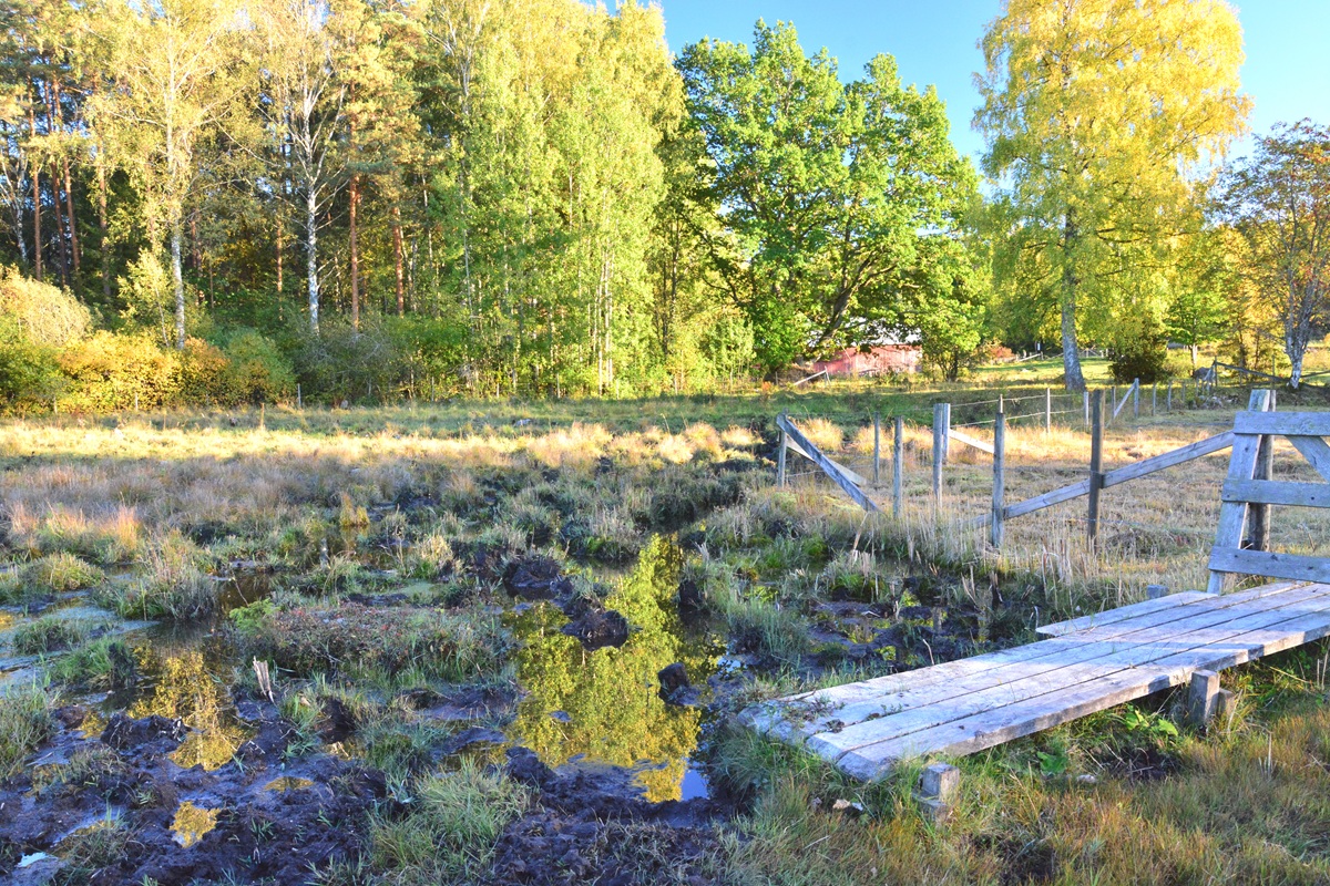 Eingang zum Naturreservat